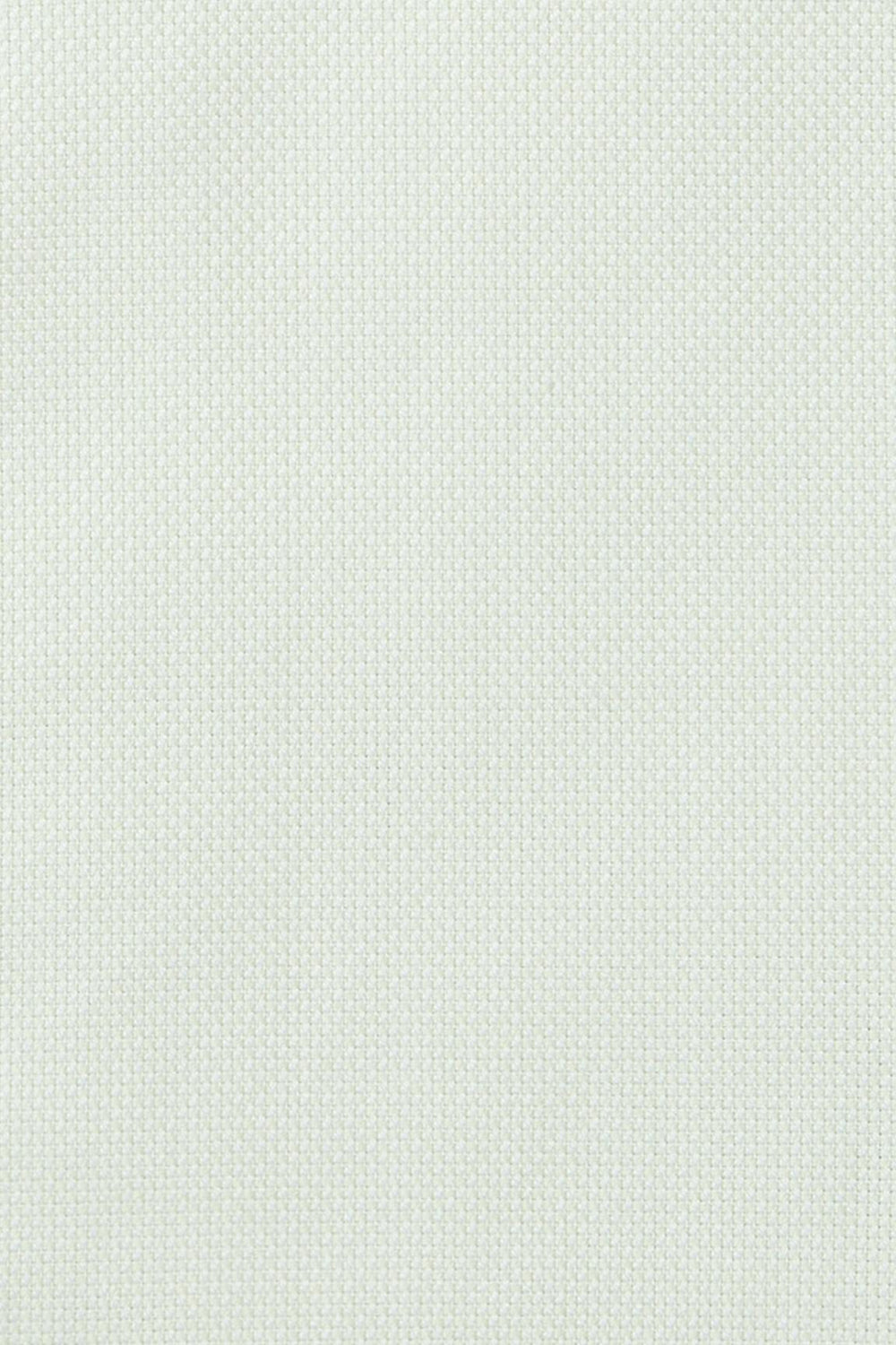 Jetsetter Premium Dress Shirt / Bonobos - mint green dobby