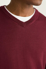 Washable Merino V-Neck Sweater / Bonobos - bordeaux